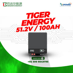 TIGER ENERGY 51.2V 100AH